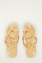 Papillon Havaianas