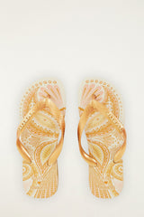 Papillon Havaianas