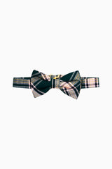 Boys Bastow Tartan Bowtie - MISTLETOE KISS