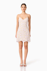 Jasmine Crochet Mini Dress in Purple & Beige