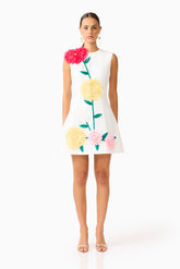 Buttercup Embroidered Mini Dress in Ivory
