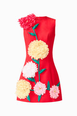 Buttercup Embroidered Mini Dress in Red