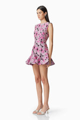 Aimee A-Line Mini Dress in Pink