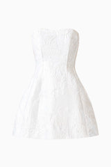 Floralie Strapless Mini Dress in Silver