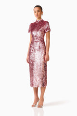 Alissa Sequin Midi Dress in Pink