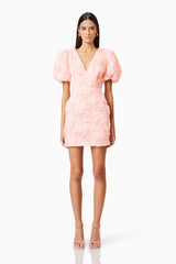 Rosella 3D Mini Dress In Pink