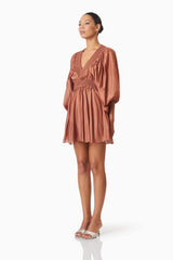 Fauna Resort Wear Mini Dress In Brown