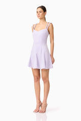Anika A-Line Mini Dress in Purple