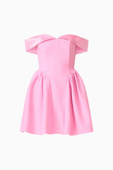 Amelina Off Shoulder Mini Dress in Pink