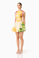Lilia A-Line Mini Dress in Multi Floral