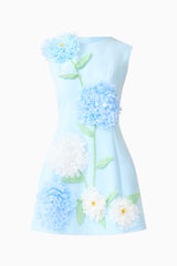 Buttercup Embroidered Mini Dress in Blue