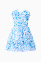 Roseate Floral Mini Dress in Blue
