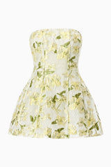 Darner Strapless Mini Dress in Green Floral