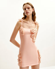 Elaina Rosette Applique Mini Dress - Apricot