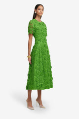Caroline Lace Short Sleeve Midi Dress - Fern