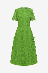 Caroline Lace Short Sleeve Midi Dress - Fern