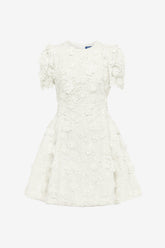 Elyse Lace Short Sleeve Mini Dress - Snow