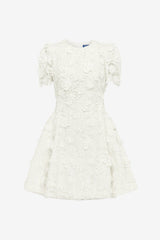 Elyse Lace Short Sleeve Mini Dress - Snow