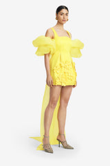 Piper Appliqué Mini Dress & Cape Set – Sunshine