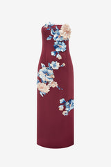Rayna Embroidered Maxi Dress - Cosmos Print
