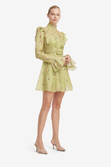 Kristy Butterfly Sleeve Mini Dress - Pistachio Rose Print