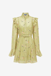 Kristy Butterfly Sleeve Mini Dress - Pistachio Rose Print