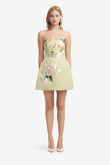 Roselle Embroidered Bustier Mini Dress - Pistachio Rose Print