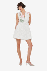 Briana V Neck Embroidered Lace Mini Dress - Snow