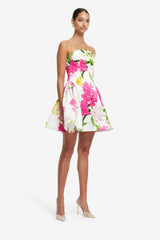 Reese Bustier Mini Dress - Floral Pear Print