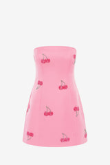 Roselle Embellished Bustier Mini Dress - Pink Cherry Beading