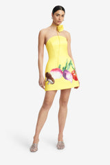 Zaria Bustier Mini Dress - Harvest Print