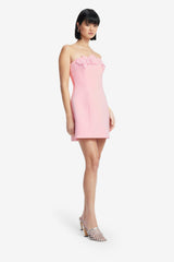 Roselle Appliqué Bustier Mini Dress - Blush Pink