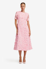 Caroline Lace Short Sleeves Midi Dress - Blush Pink