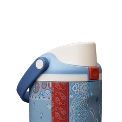 Owala 30oz FreeSip® Sway  Common Threads
