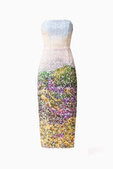 Arden Strapless Midi Dress in Multi Ombre