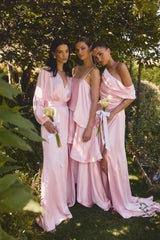 Kai Long Sleeve Maxi Dress in Pale Pink