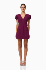 Theresa V-Neck Mini Dress in Burgundy