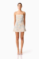 Nia Embroidered Mini Dress in Beige