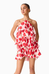 Melia Halter Mini Dress in Pink & Red Floral