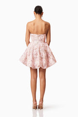 Regina Strapless Mini Dress in Pink