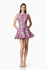 Aimee A-Line Mini Dress in Pink