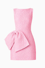 Briallen Jacquard Mini Dress in Pink