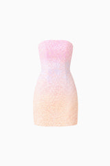 Lumira Sequin Lace Mini Dress in Pink Ombre