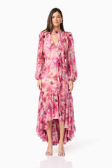 Evalina Long Sleeve Maxi Dress in Pink