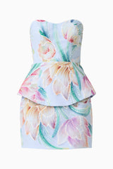 Priselle Peplum Top & Mini Skirt Set in Blue Floral