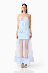 Reina Applique Gown in Sky Blue