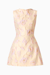 Carys A-Line Mini Dress in Cream