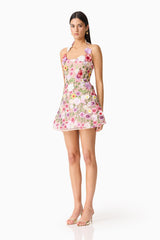Neve A-Line Mini Dress in Pink Floral