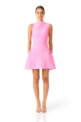 Jesselle Mini Dress in Pink