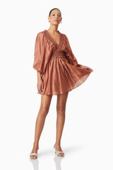 Fauna Resort Wear Mini Dress In Brown